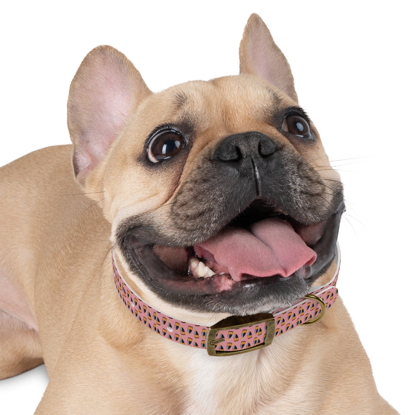 Puppy Pop Pink Champagne Collar