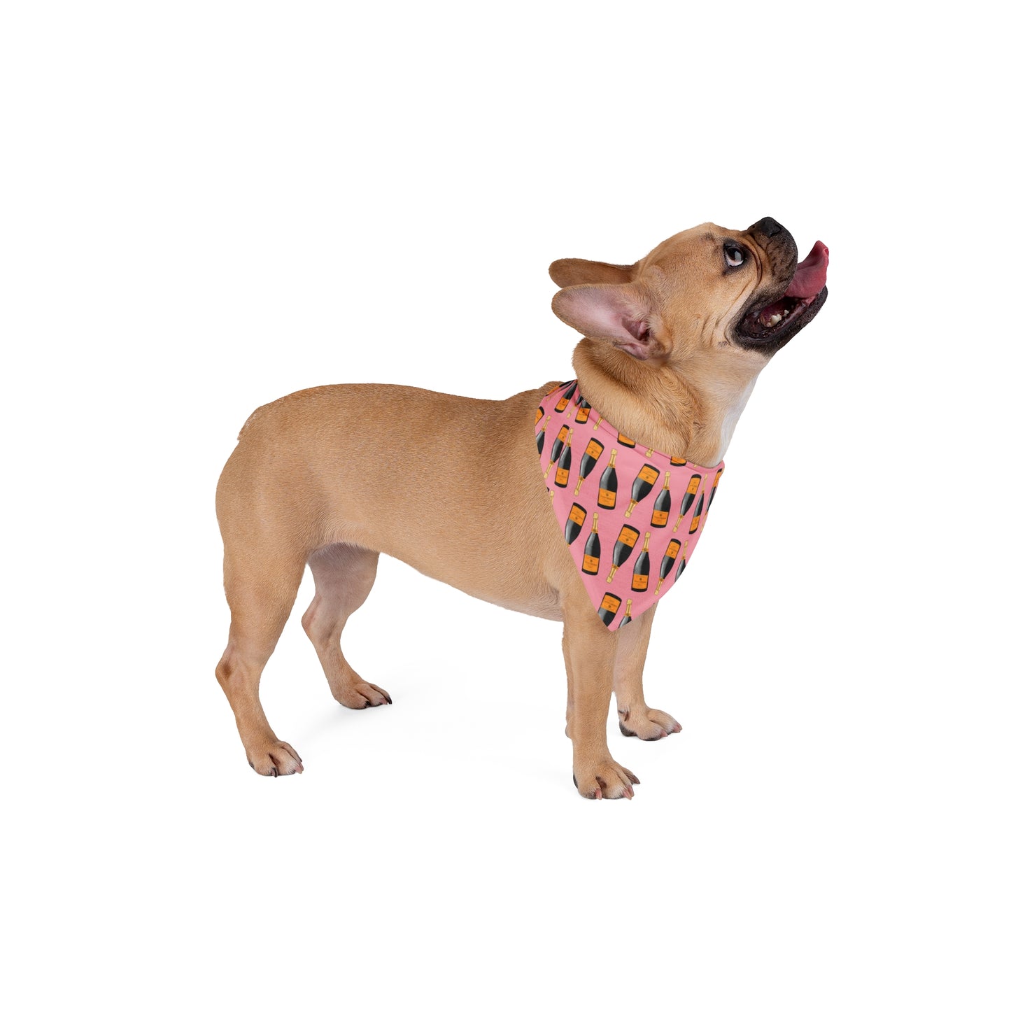 Fur-bulous Bubbles Pet Bandana